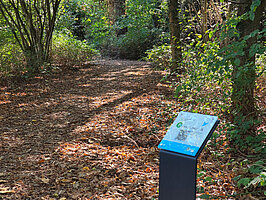Stele vor einem Waldweg