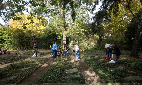 Der Friedhof der Diakonissen wird regelmäßig liebevoll gepflegt (Foto KWD Frank Elschner)