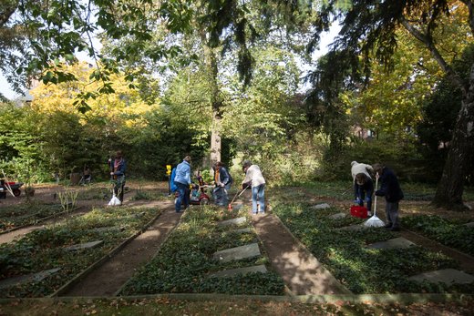 Der Friedhof der Diakonissen wird regelmäßig liebevoll gepflegt (Foto KWD Frank Elschner)
