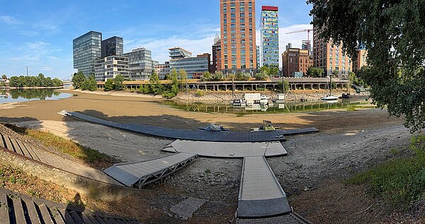 Niedrigwasser im Düsseldorfer Medienhafen