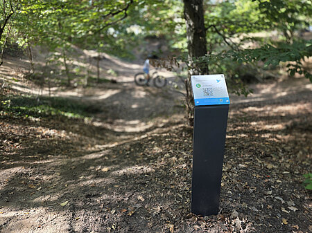 Stele steht vor Bäumen