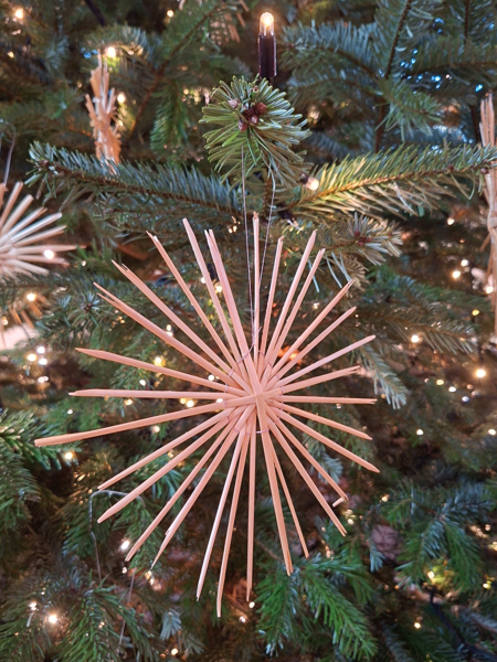 Weihnachtsstern an einem Weihnachtsbaum.