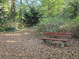 Bank am Waldweg