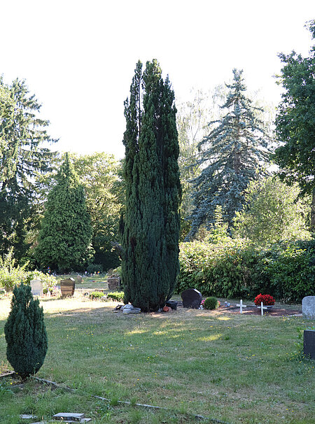 Der Blick auf den Friedhof